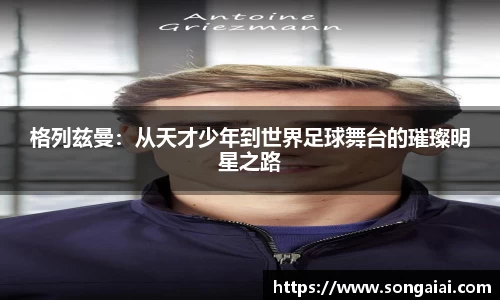 小艾电竞官网